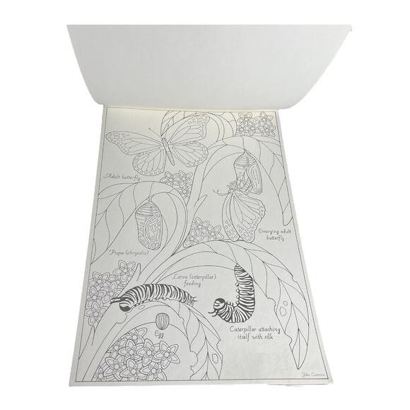 VTG Red Farm Studio Butterflies LARGE COLORING BOOK 6PG Carroza Art Attached 18" - Picture 6 of 8